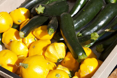 Zucchini and courgetteの写真素材