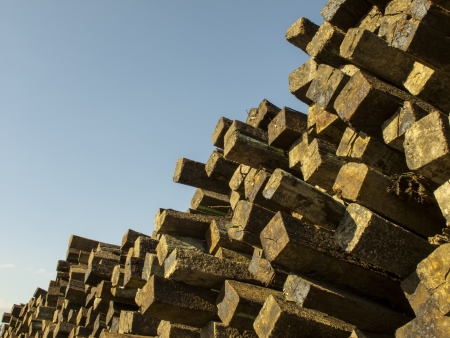 Never ending wood pileの写真素材