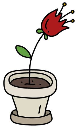 Red flower in the light flowerpotのイラスト素材