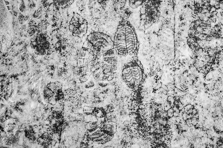Man, child and a dog footprinnts on the icy snowの写真素材