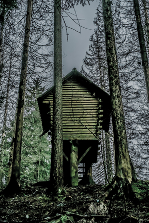 Creepy cottage abandoned hut surrounded by trees, terror scary cottage in the forestの写真素材