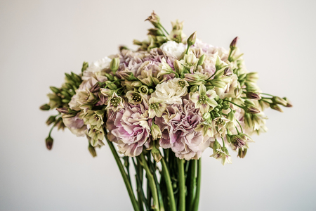 Pink and white carnation bouquet with green alliumの写真素材