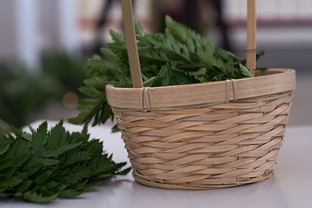 Green leaves of fern in basket. Rustic wedding decoration.の写真素材