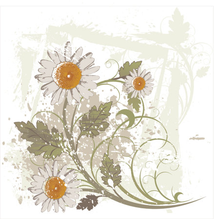 Camomiles and flower ornament on grunge backgroundのイラスト素材