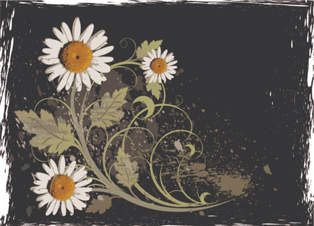 Camomiles and flower ornament on black grunge backgroundのイラスト素材