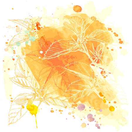 Vector Watercolor Background & Tropical Flowers - Hibiscusのイラスト素材