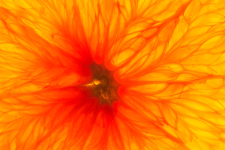 Fresh red orange closeup for texture or backgroundの写真素材