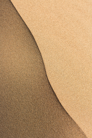Gold desert into the sunset. Sand textureの写真素材
