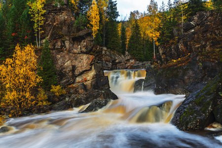 beautiful waterfall in autumn forest.