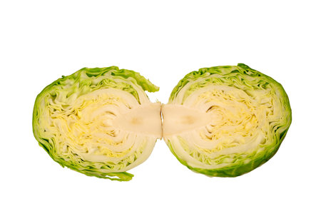 Cut in half fresh cabbage on a whiteの写真素材