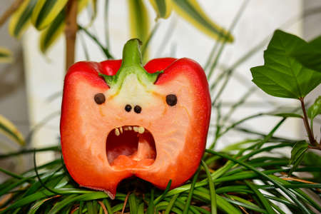 A large red pepper cut in half stands in the grass, looks like a faceの写真素材