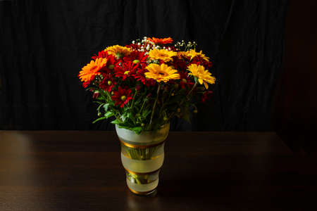Beautiful bright orange and yellow gerbera flower on the background of other red chrysanthemum flowers, shallow DOF, selective focus on the gerbera petals.の写真素材