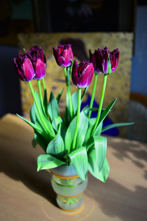 Bouquet of fresh purple tulips in glass vase, flowers beautifully illuminated by the sunlight, blurred background, still life.の写真素材