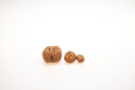 closeup of a walnut isolated on white background