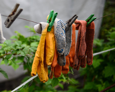 Old work gloves were washed and hung to dry on a ropeの写真素材