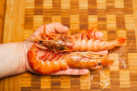 two fresh shrimp in the hand of a womanの写真素材