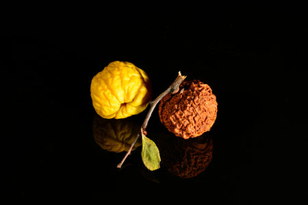 very dried fruits of yellow quince, with reflection on the black surface