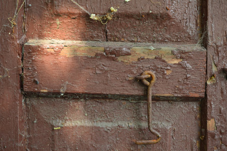 Detail of old wooden shutters with cracked paint.の写真素材