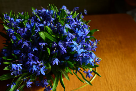 Bouquet of snowdrops in a ceramic vase on a wooden table in the morning light of the sun.の写真素材