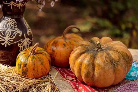 Preparing the colorfull pumpkin season. Haloween pumpkin.の写真素材