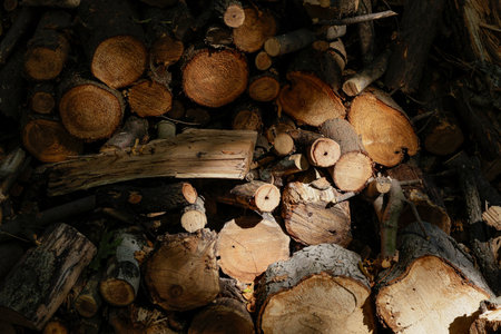 Wall from dry firewood stacked up on top of each other in a pile. Textured wooden backgroundの写真素材