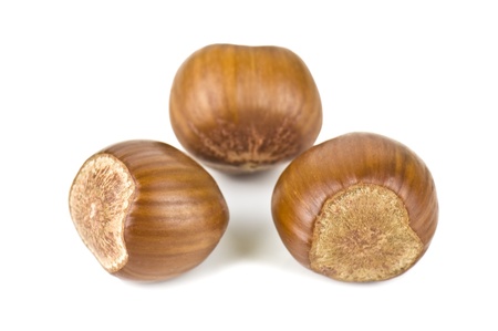 three hazelnuts on white backgroundの写真素材
