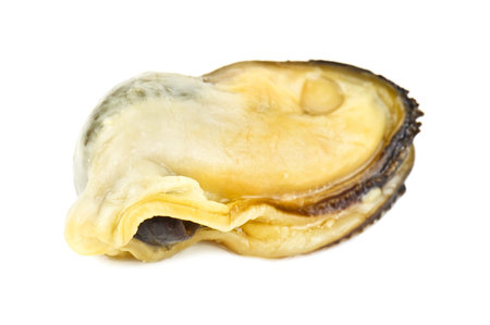 delicious mussel isolated on white