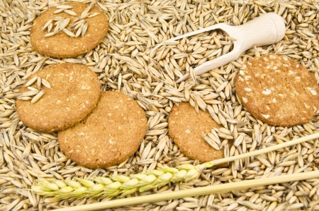 oat and cookies in the photoの写真素材