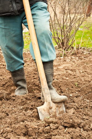 man with shovel in the photoの写真素材
