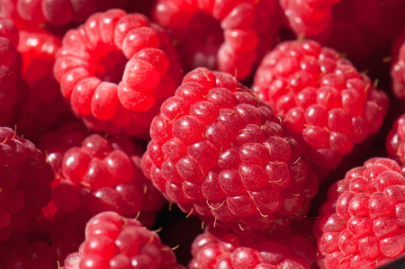 ripe and juicy raspberries texture