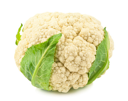 raw and ripe cauliflower on white backgroundの写真素材