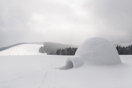 snow igloo in the high mountainの写真素材