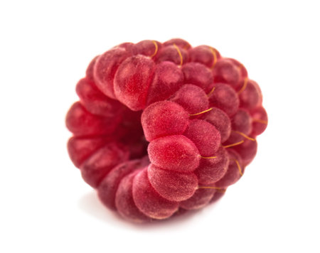 ripe, sweet and juicy raspberry on white background
