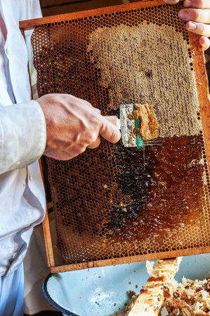 beekeeper open honeycomb with special tool