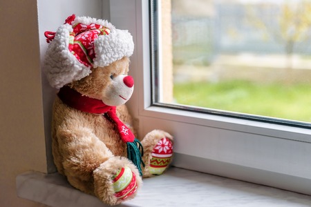 christmas teddy bear looking through a windowの写真素材