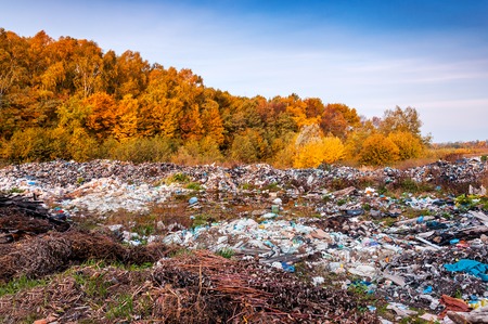 illegal dump near yellow autumn forestの写真素材