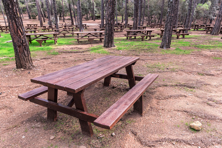place for camping in the forest. Wooden table and benchesの写真素材