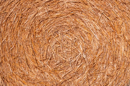 dry hay, bale as a textureの写真素材