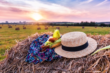ripe corn and straw hat on the bale on sunsetの写真素材