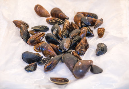 a bunch of raw mussels on the ice in the store