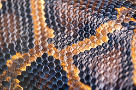 anaconda skin as a texture