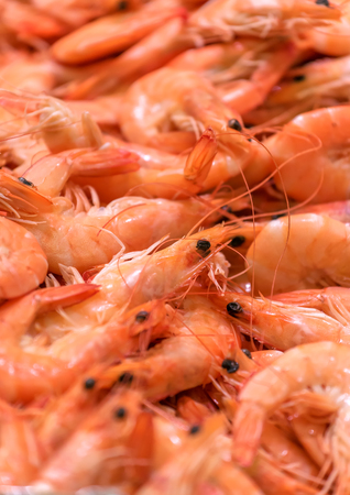 fresh shrips as a textureの写真素材