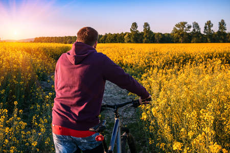 man with bicykle in the rape fild on sunset (sunrise)の写真素材