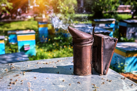 old brown bee smoker in the apiary