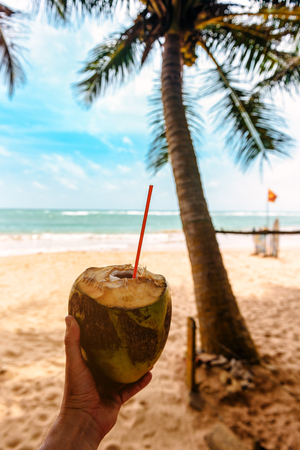 ripe coconut with milk in hand on the tropical beachの写真素材