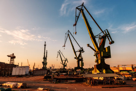Large and huge port cranes at sunset in Gdansk.Poland