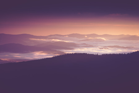 Beautiful foggy morning in the mountains.の写真素材