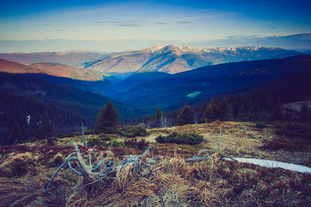 Majestic morning mountain landscape. Dramatic overcast sky.の写真素材