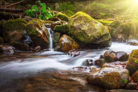 Beautiful landscape rapids on a mountains river in sunlight.の写真素材