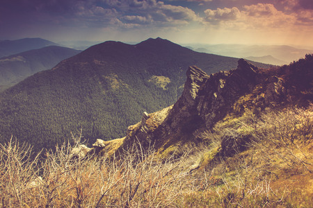 Mountain autumn landscape. Filtered image: cross processed vintage effect.の写真素材